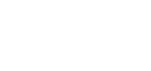 assfinet